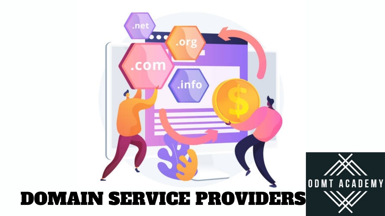 domain service providers