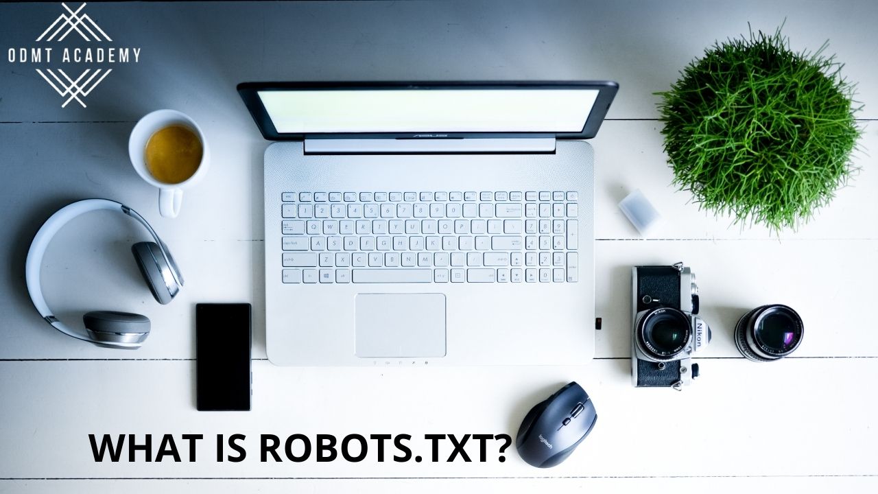 What is robots.txt